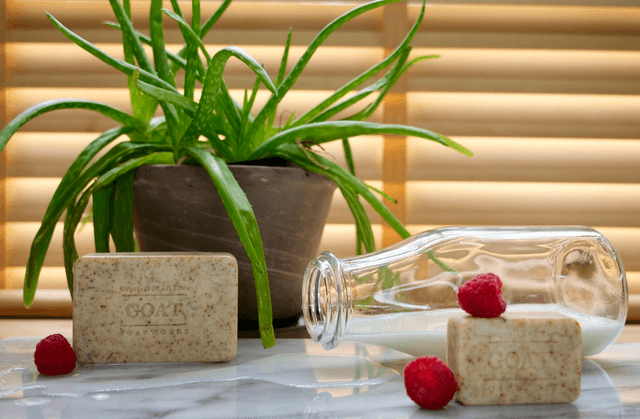 Just Milk with Raspberry seed exfoliant